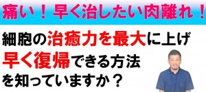 肉離れ、早く復帰