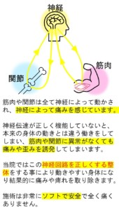 神経回路の整体